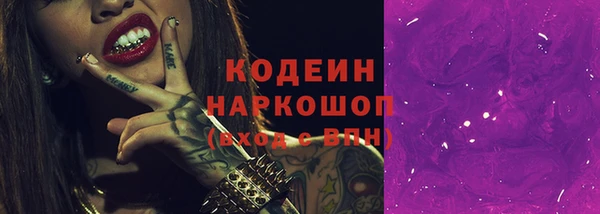 сатива Корсаков
