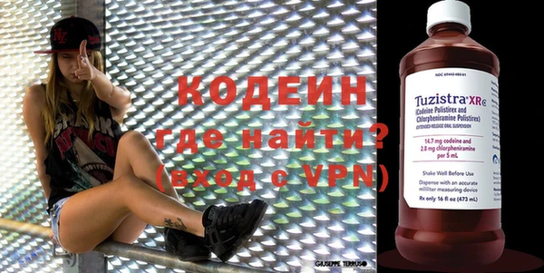 сатива Корсаков