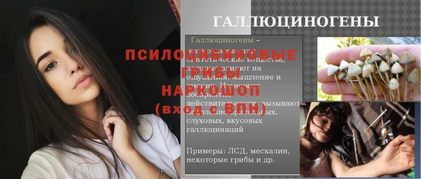 сатива Корсаков